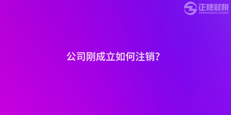 公司刚成立如何注销？