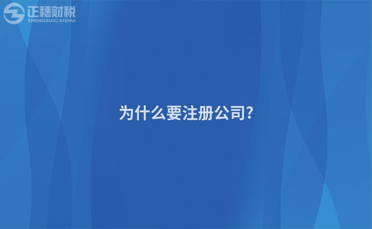 为什么要注册公司?