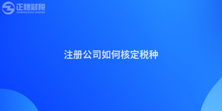 注册公司如何核定税种