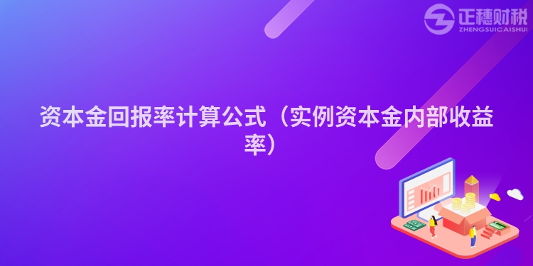 资本金回报率计算公式（实例资本金内部收益率）