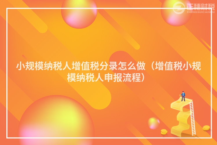 小规模纳税人增值税分录怎么做（增值税小规模纳税人申报流程）