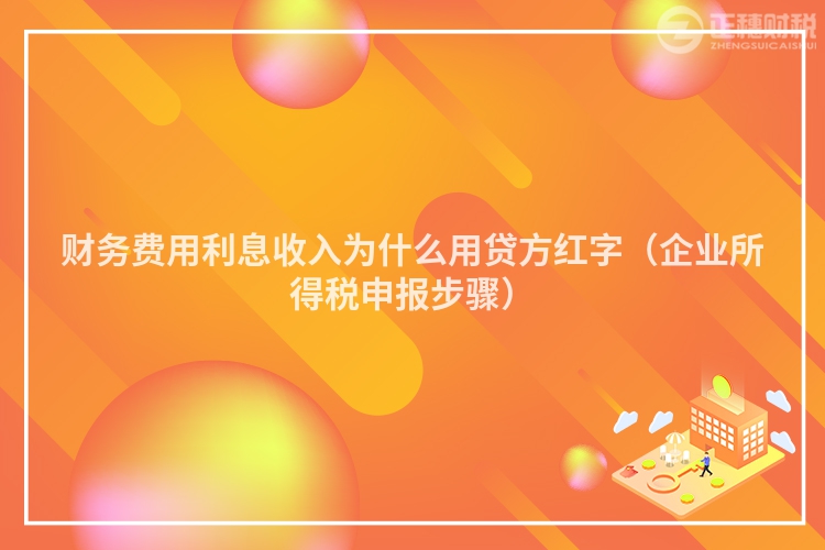 财务费用利息收入为什么用贷方红字（企业所得税申报步骤）