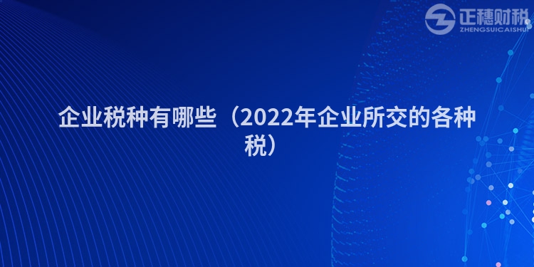 企业税种有哪些（2022年企业所交的各种税）